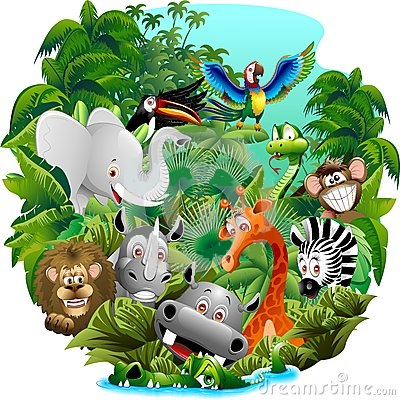 THE NATURAL WORLD THE NATURAL WORLD
